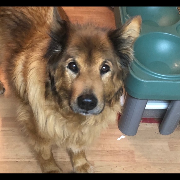 Meet your Posher, Kathleen - Picture 2 of 6